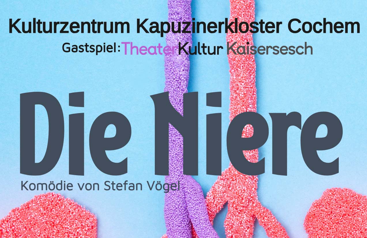 Theaterstück "Die Niere" von Stefan Vögel